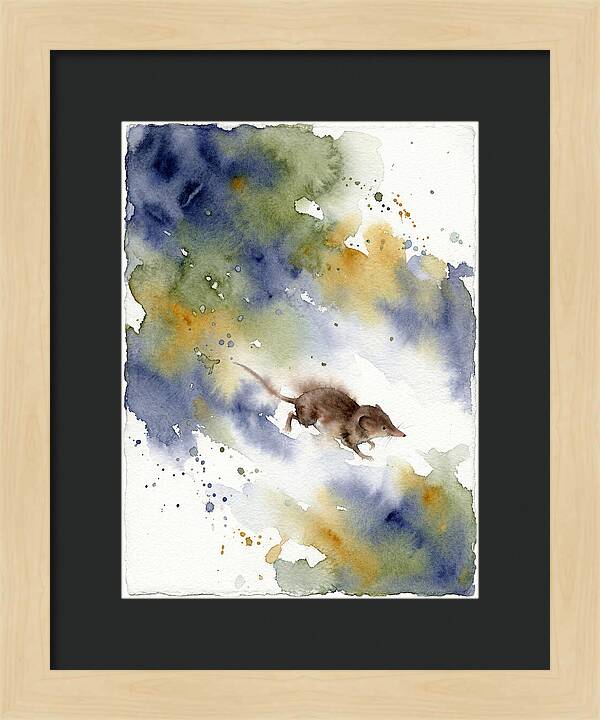 Shrew In Watercolor Splendor