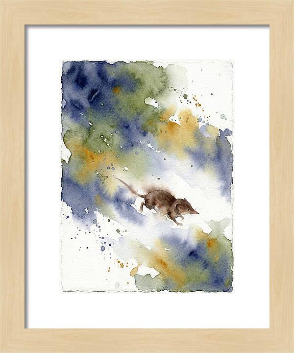 Shrew In Watercolor Splendor