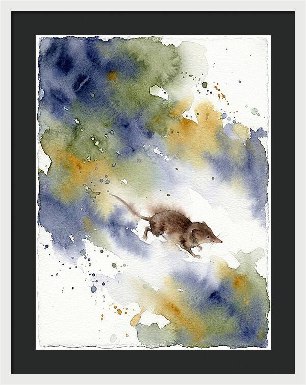 Shrew In Watercolor Splendor