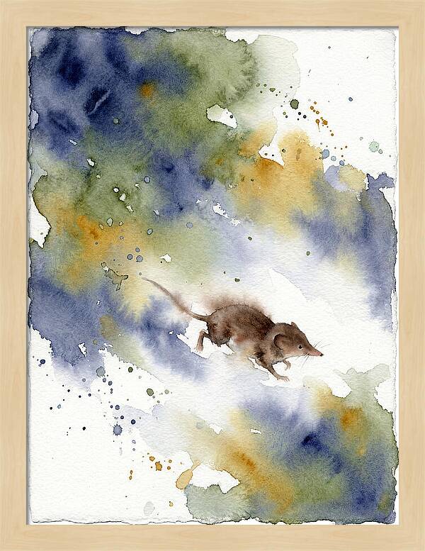 Shrew In Watercolor Splendor