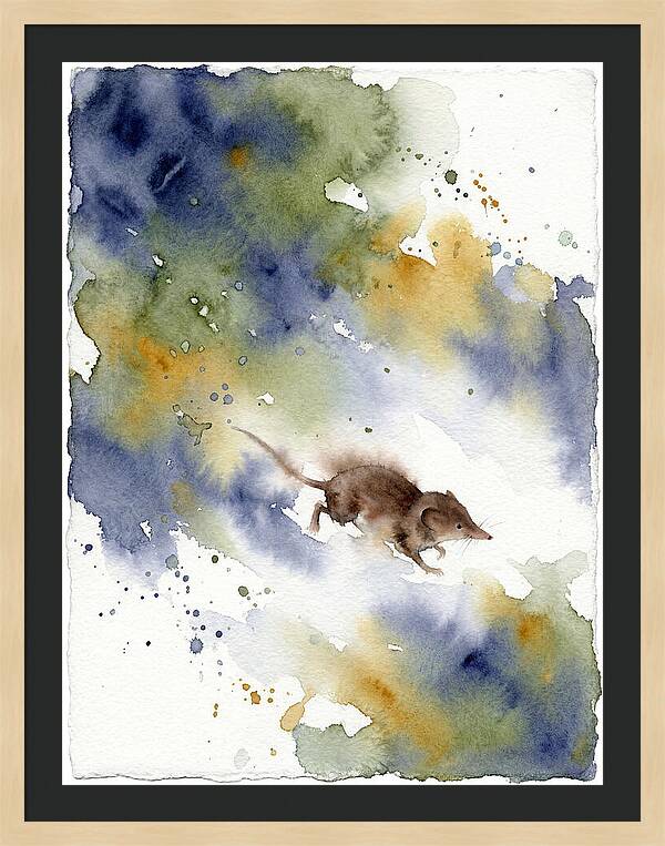 Shrew In Watercolor Splendor