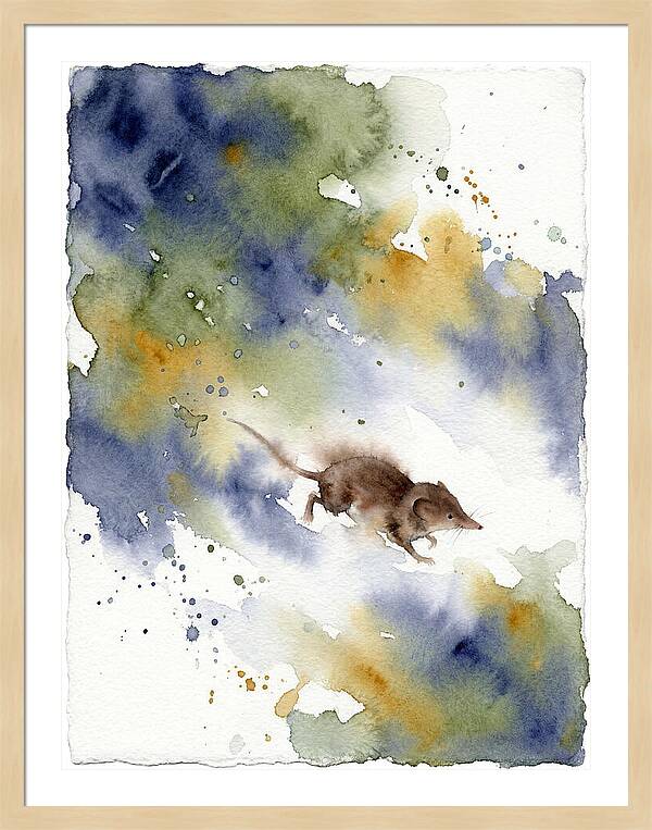 Shrew In Watercolor Splendor