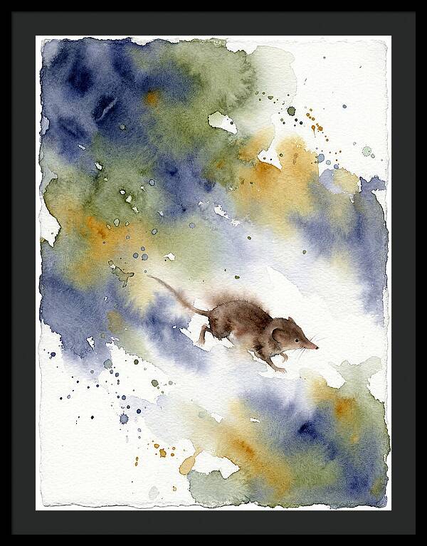 Shrew In Watercolor Splendor
