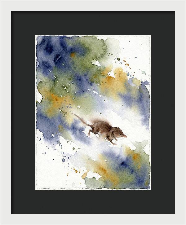 Shrew In Watercolor Splendor