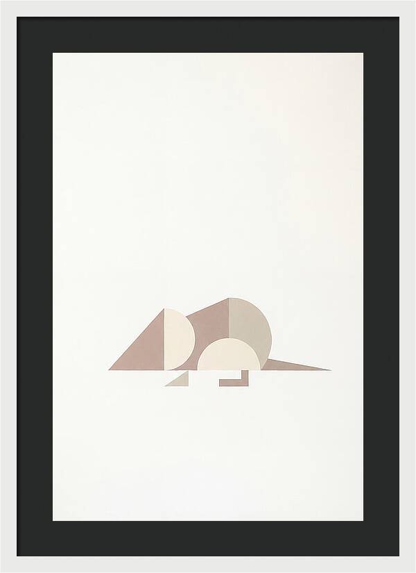 Shrew Minimalism In Shapes