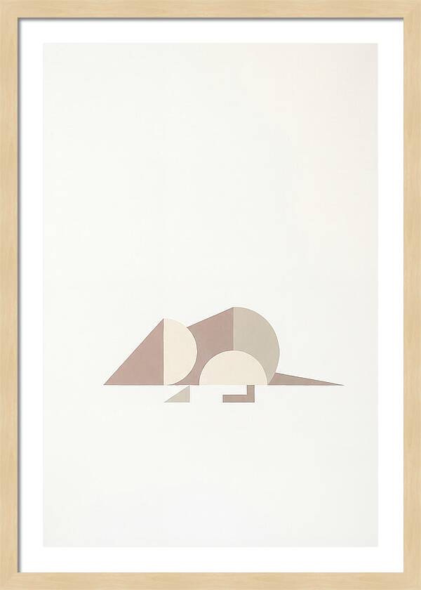 Shrew Minimalism In Shapes