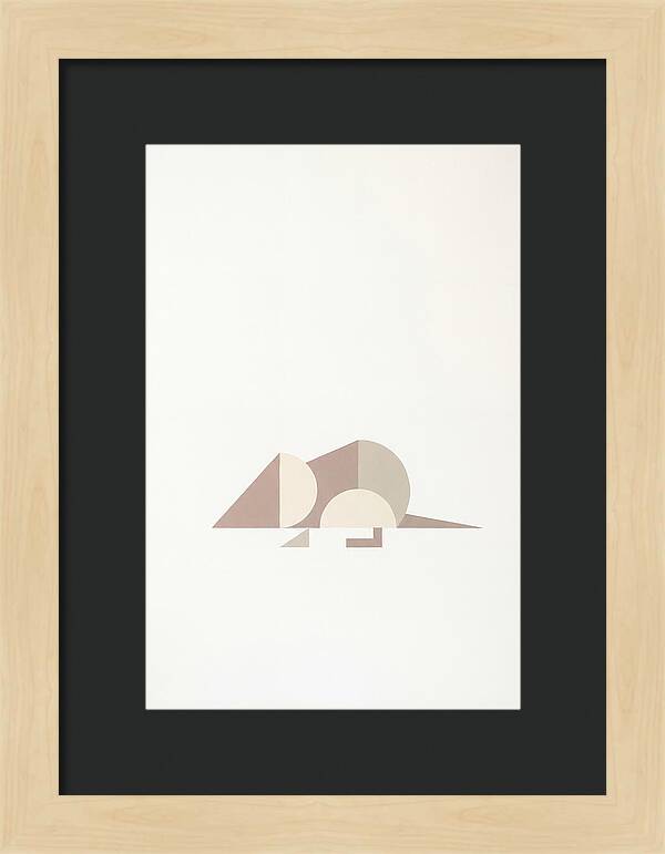Shrew Minimalism In Shapes