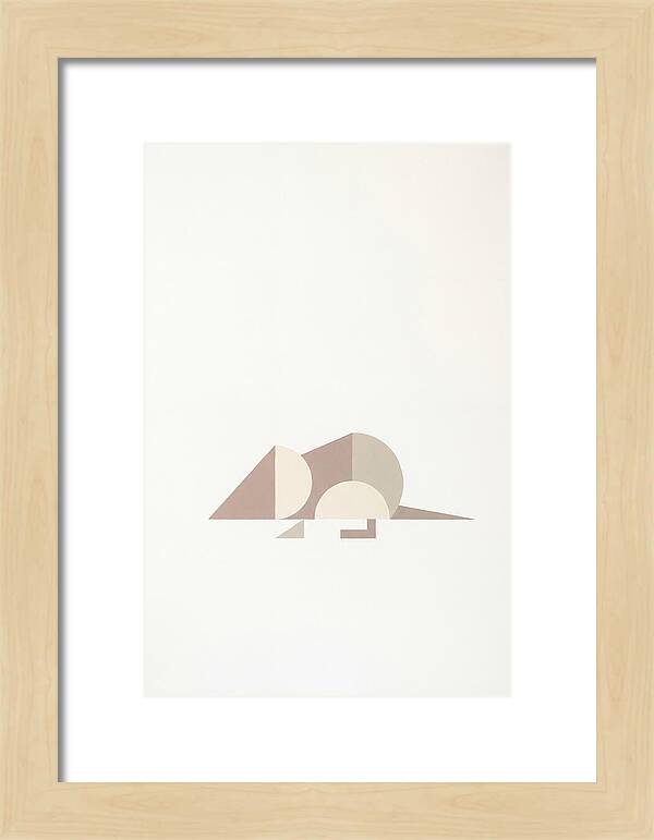 Shrew Minimalism In Shapes