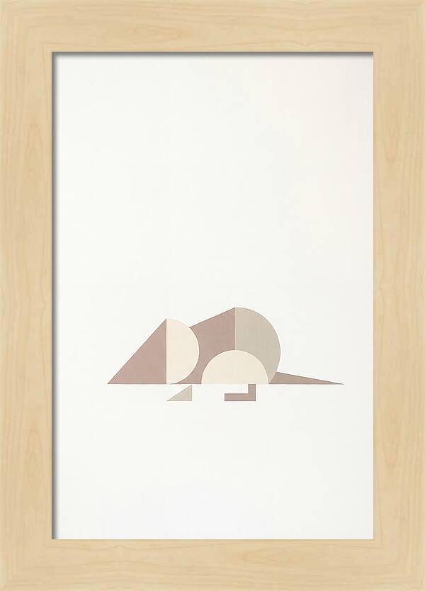 Shrew Minimalism In Shapes