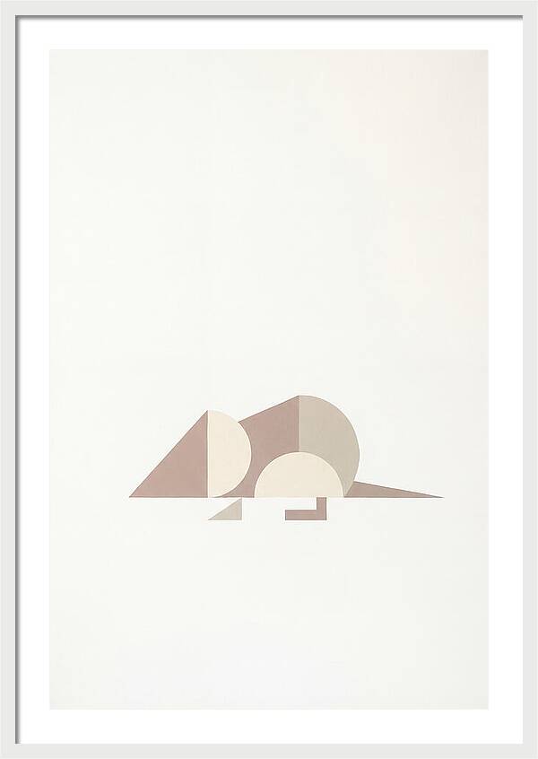 Shrew Minimalism In Shapes