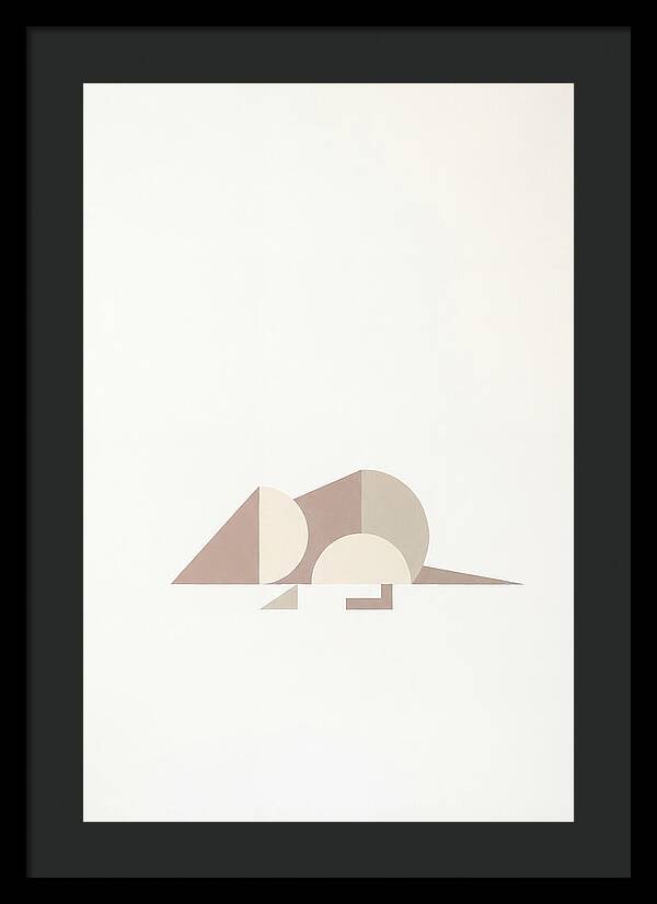 Shrew Minimalism In Shapes