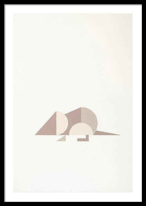Shrew Minimalism In Shapes
