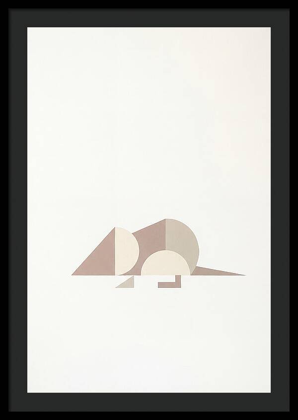 Shrew Minimalism In Shapes