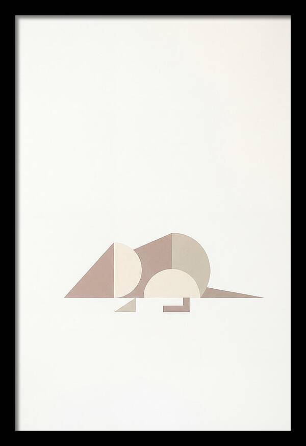 Shrew Minimalism In Shapes