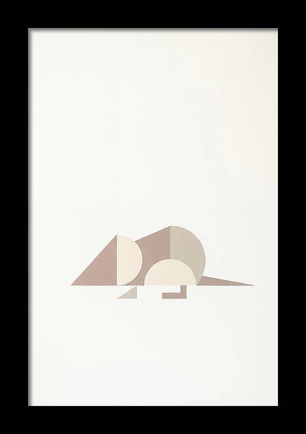 Shrew Minimalism In Shapes