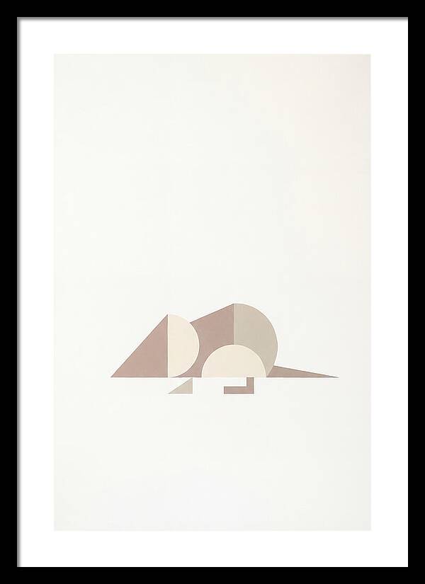 Shrew Minimalism In Shapes