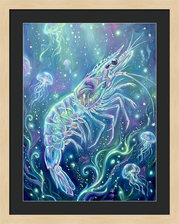 Shrimp Among Jellyfish