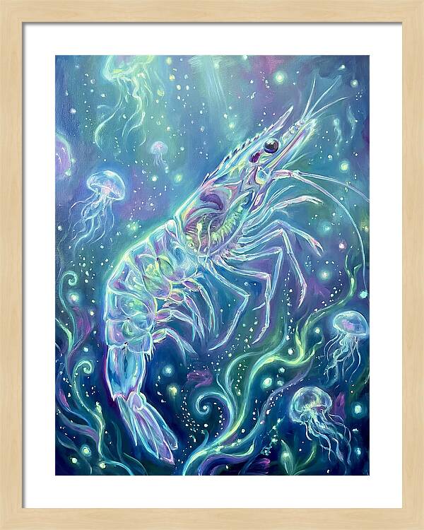 Shrimp Among Jellyfish