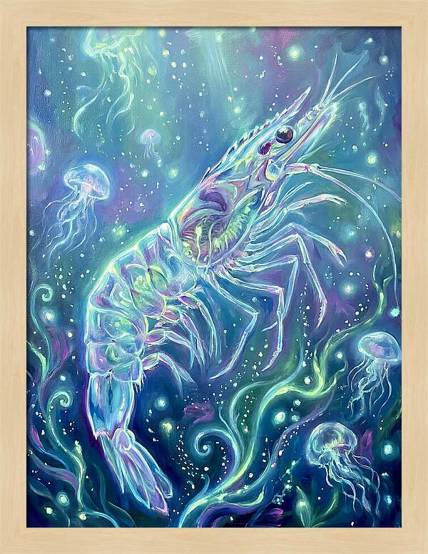 Shrimp Among Jellyfish