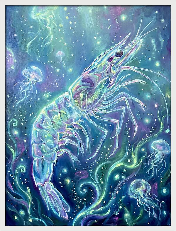 Shrimp Among Jellyfish