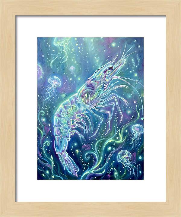 Shrimp Among Jellyfish