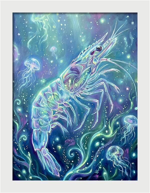 Shrimp Among Jellyfish