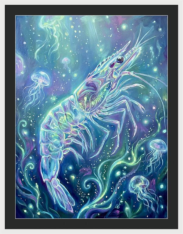 Shrimp Among Jellyfish