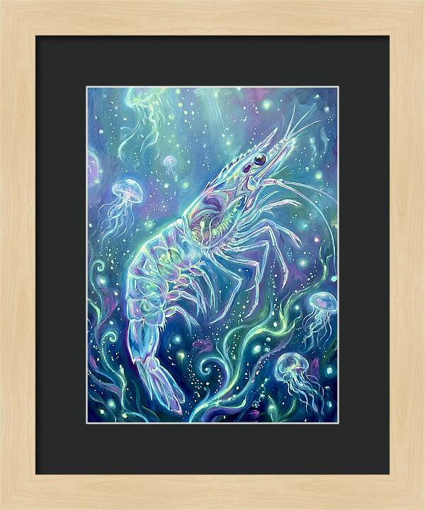 Shrimp Among Jellyfish