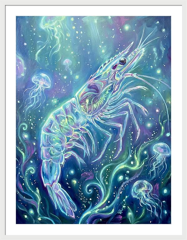 Shrimp Among Jellyfish