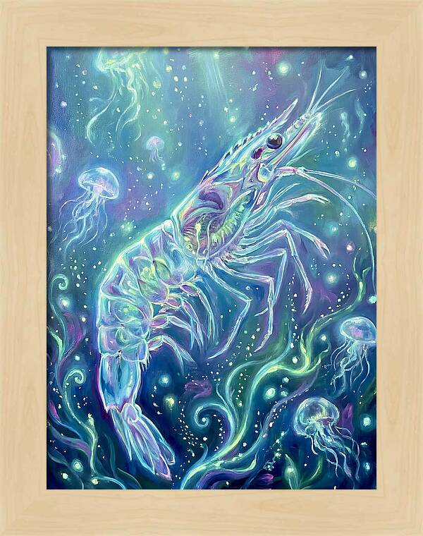 Shrimp Among Jellyfish