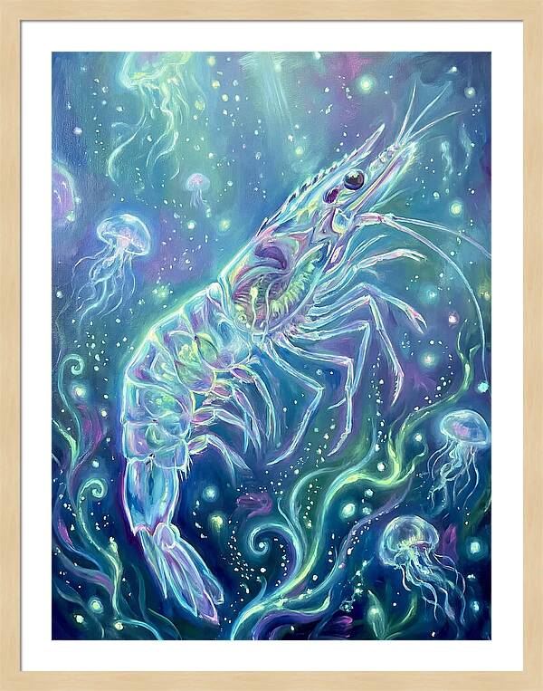 Shrimp Among Jellyfish