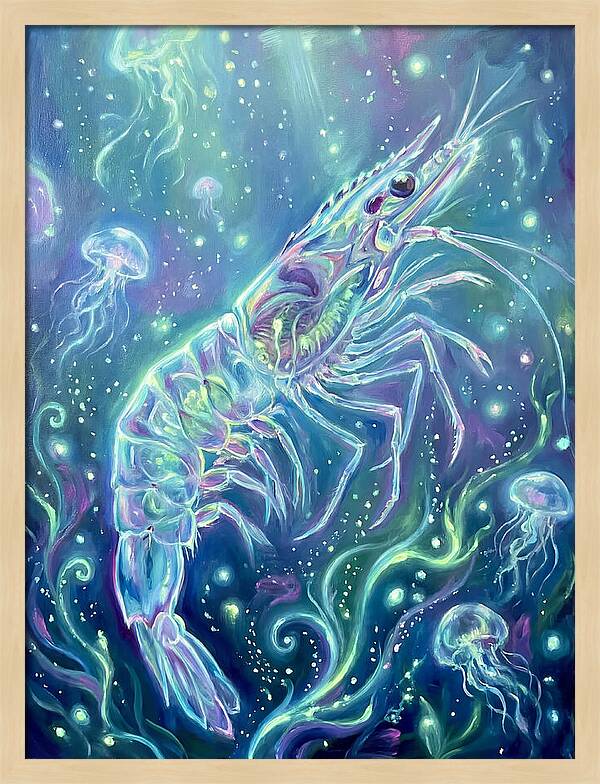 Shrimp Among Jellyfish