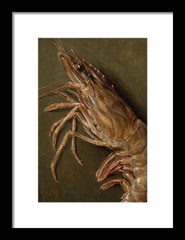 Shrimp Realism Study