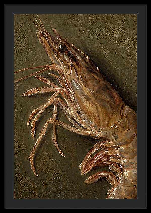 Shrimp Realism Study