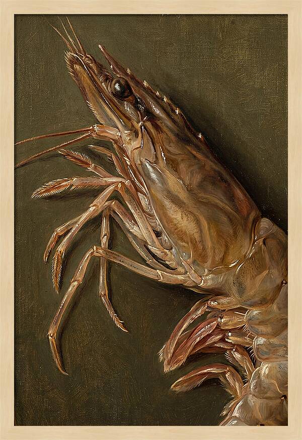 Shrimp Realism Study