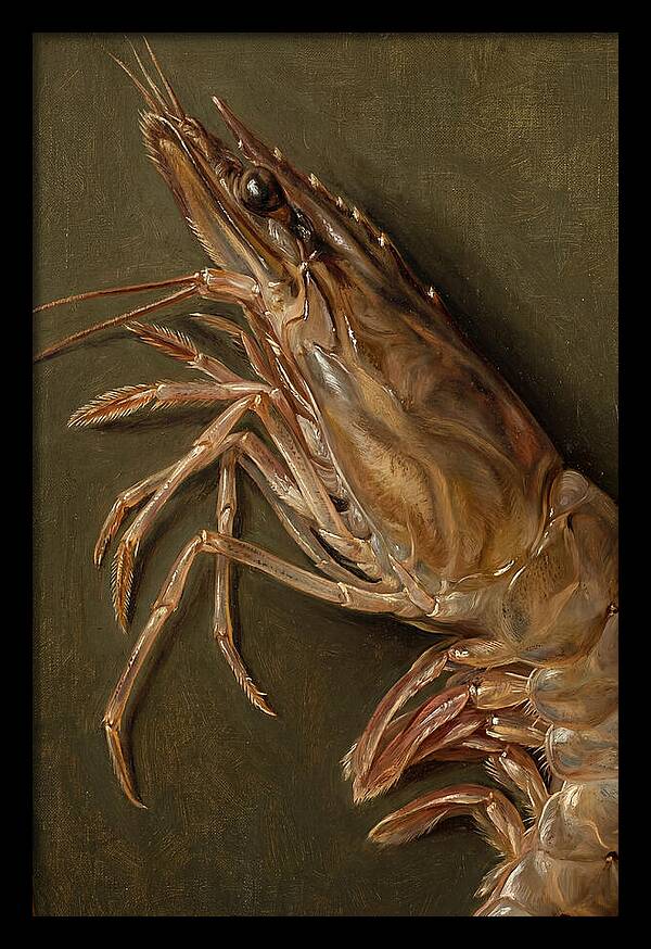 Shrimp Realism Study