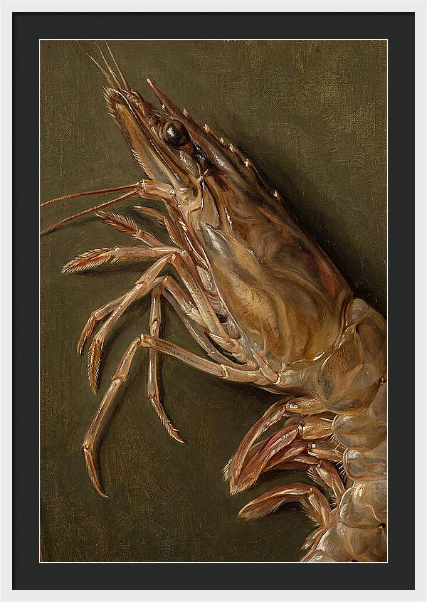 Shrimp Realism Study