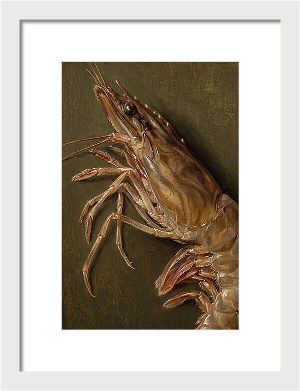 Shrimp Realism Study