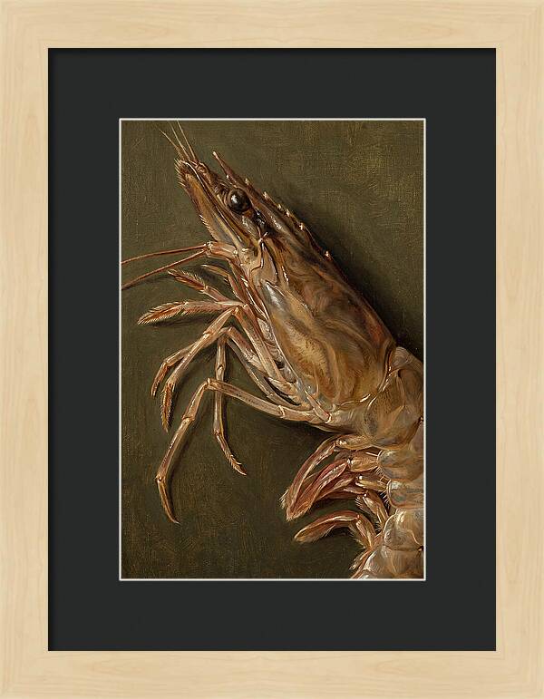 Shrimp Realism Study