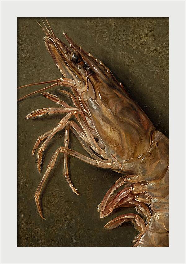 Shrimp Realism Study