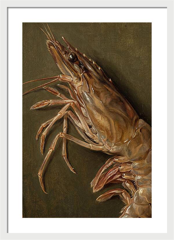 Shrimp Realism Study