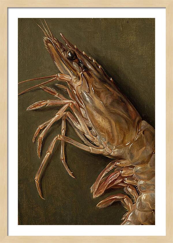 Shrimp Realism Study