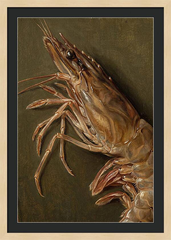 Shrimp Realism Study