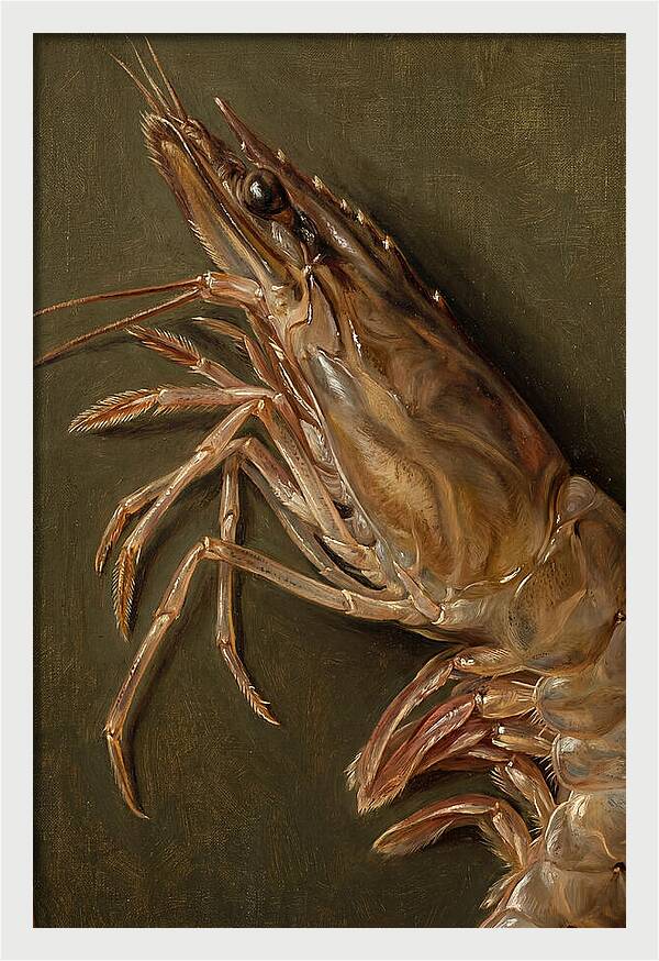 Shrimp Realism Study