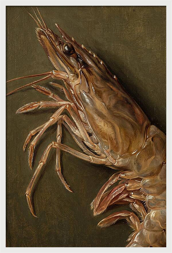Shrimp Realism Study