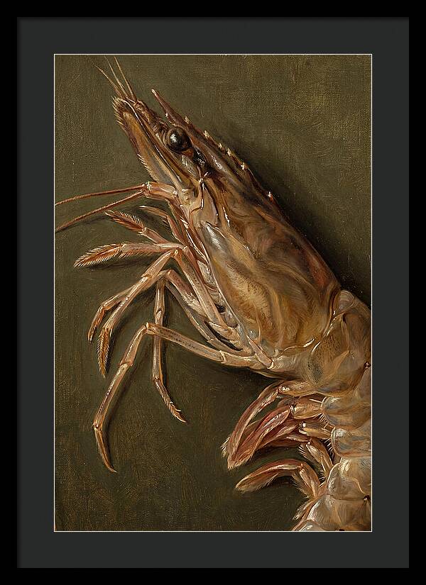 Shrimp Realism Study