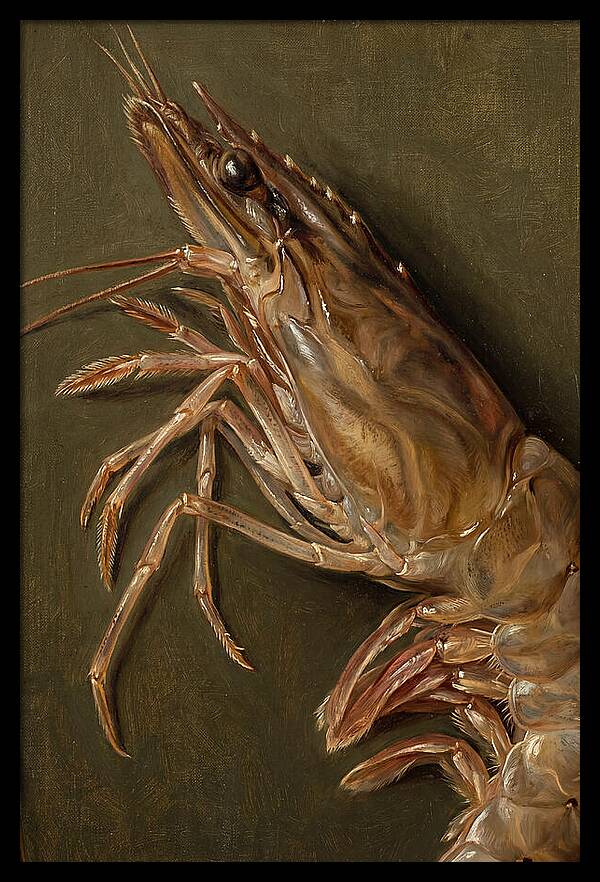 Shrimp Realism Study
