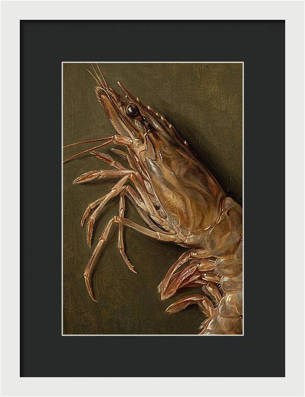 Shrimp Realism Study