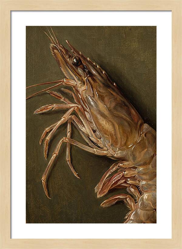 Shrimp Realism Study