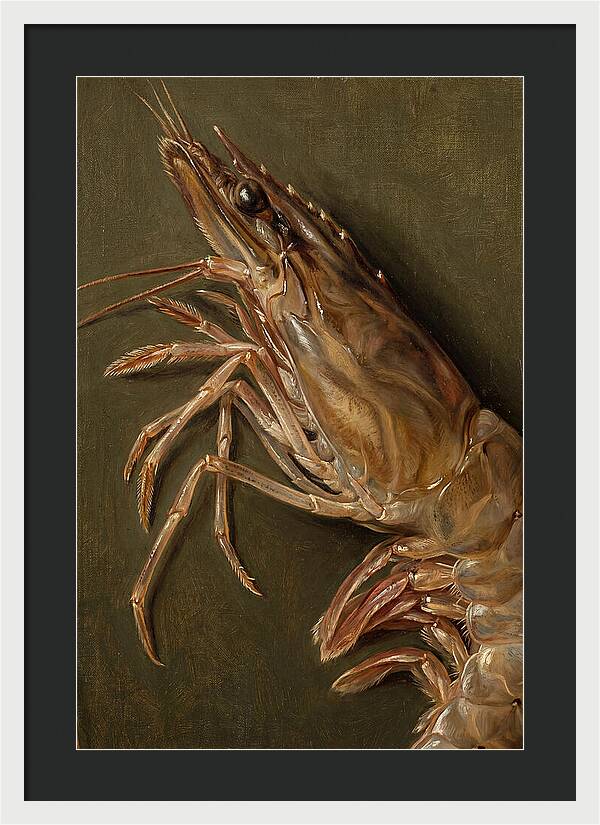 Shrimp Realism Study
